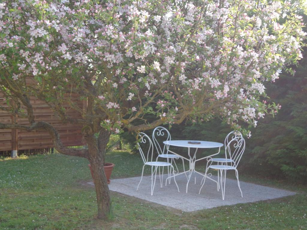 La Grille Dorée Amboise Exterior foto